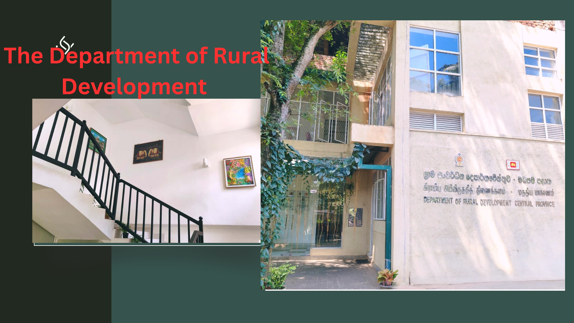 අපි වෘත්තීයමය